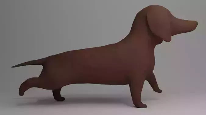 Dachshund