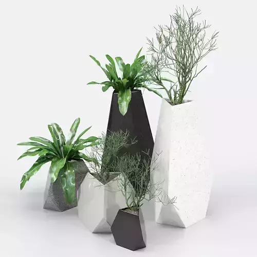 Treesquare Rockbound 01