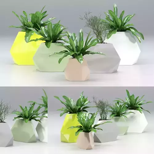 Treesquare Rockbound 02