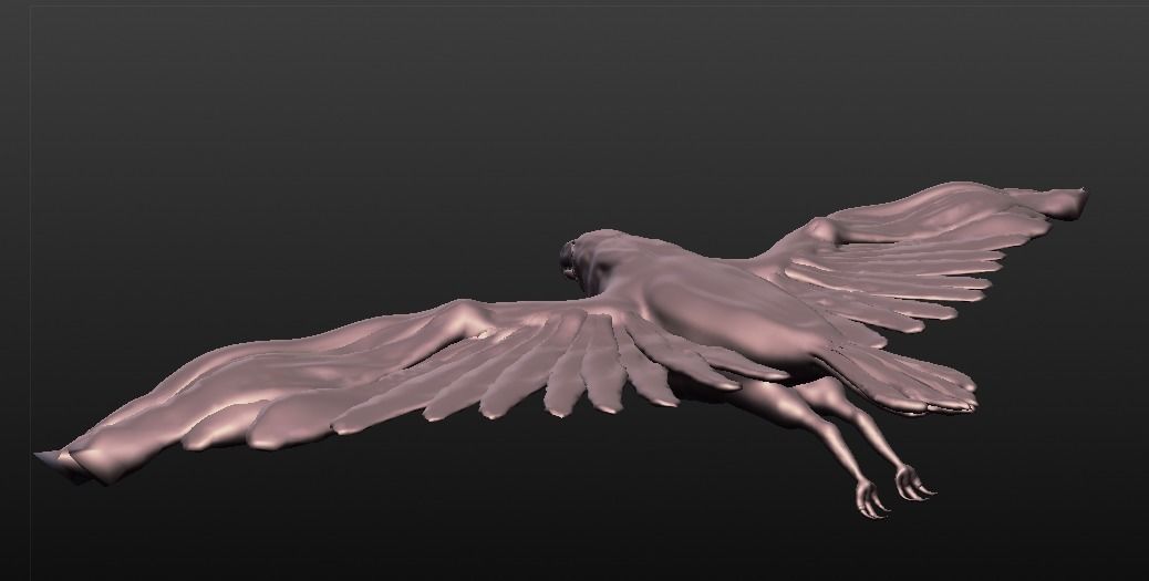 eagle sculpted 3D model_11