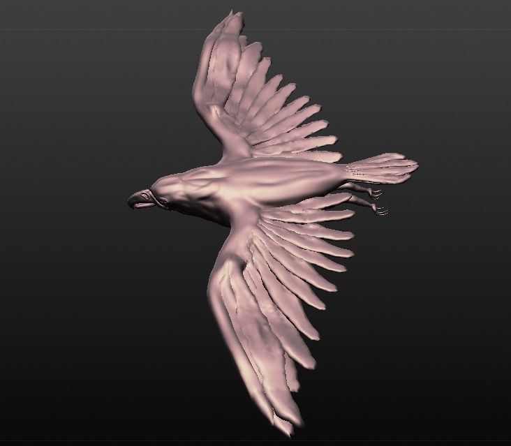 eagle sculpted 3D model_10