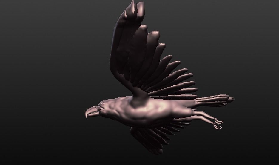 eagle sculpted 3D model_9