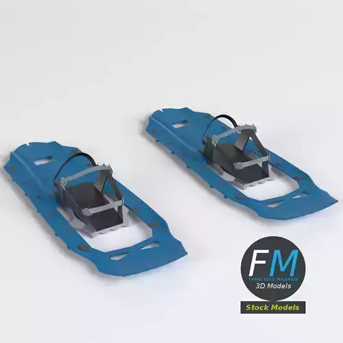Modern snow shoes