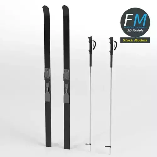 Nordic skis with poles
