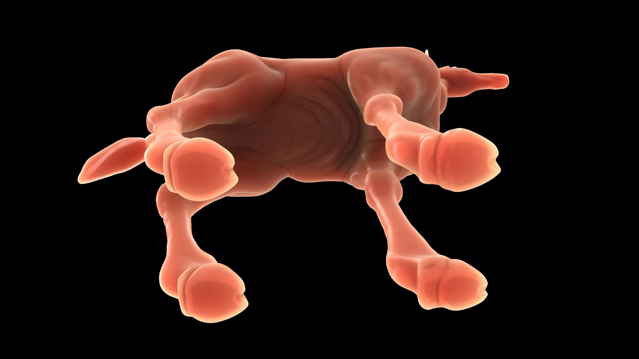 Giraf Sculpt 3D model_1