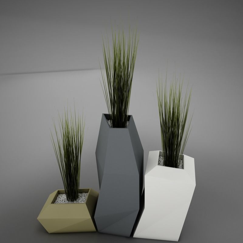 Modern plant living 3D model_2