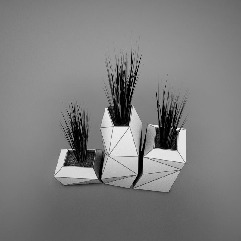 Modern plant living 3D model_19