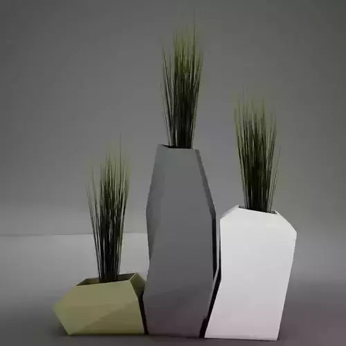Modern plant living 3D model