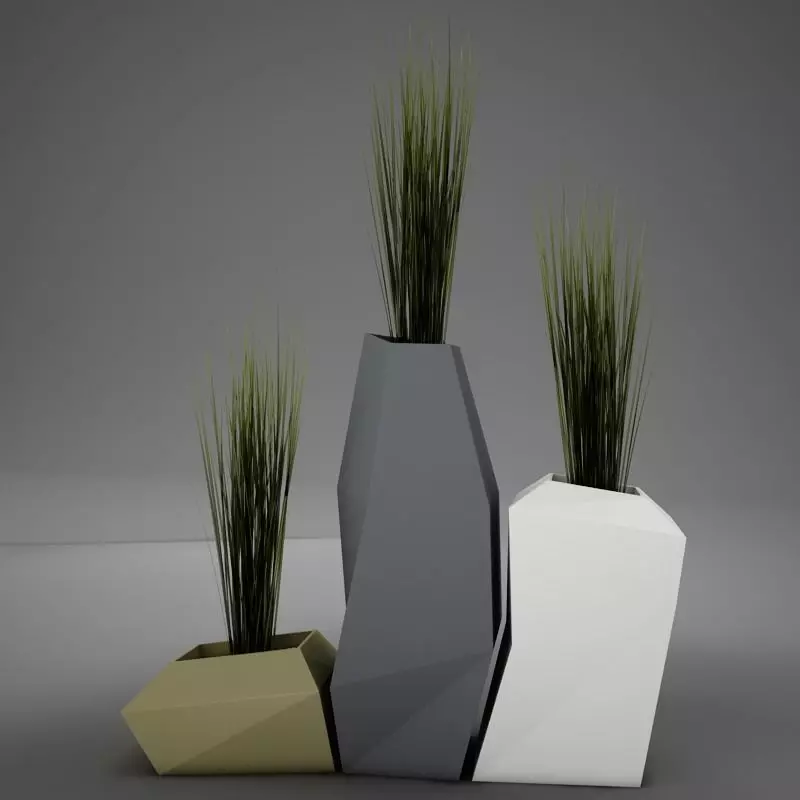 Modern plant living 3D model_0