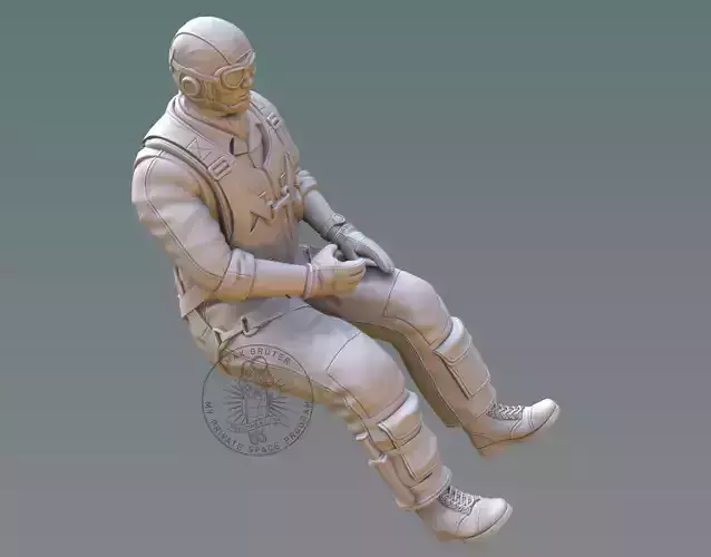 US NAVY PILOT 3D print model