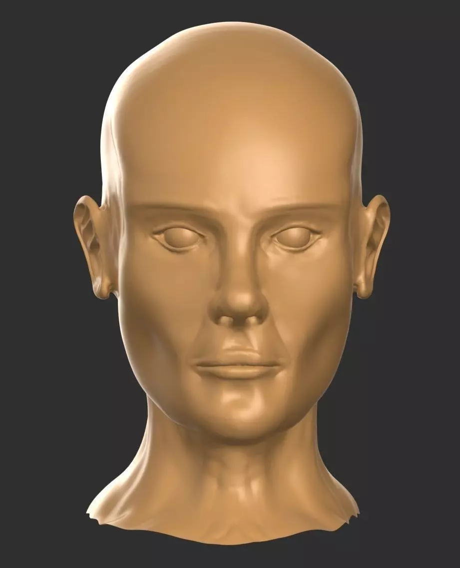 Human Head Male 3D model