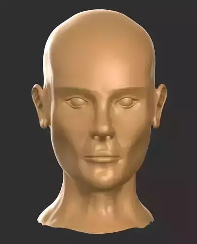 Human Head Male