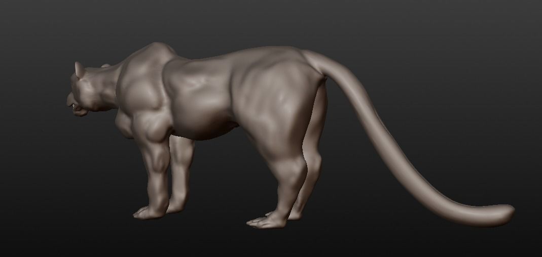 black panther 3D model_14