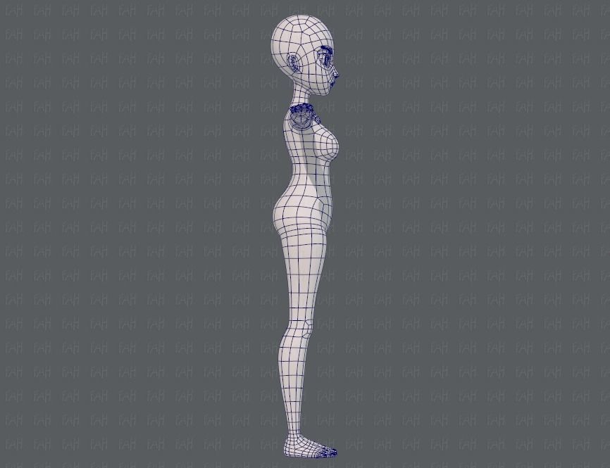 Base mesh woman 18 Low-poly 3D model_11