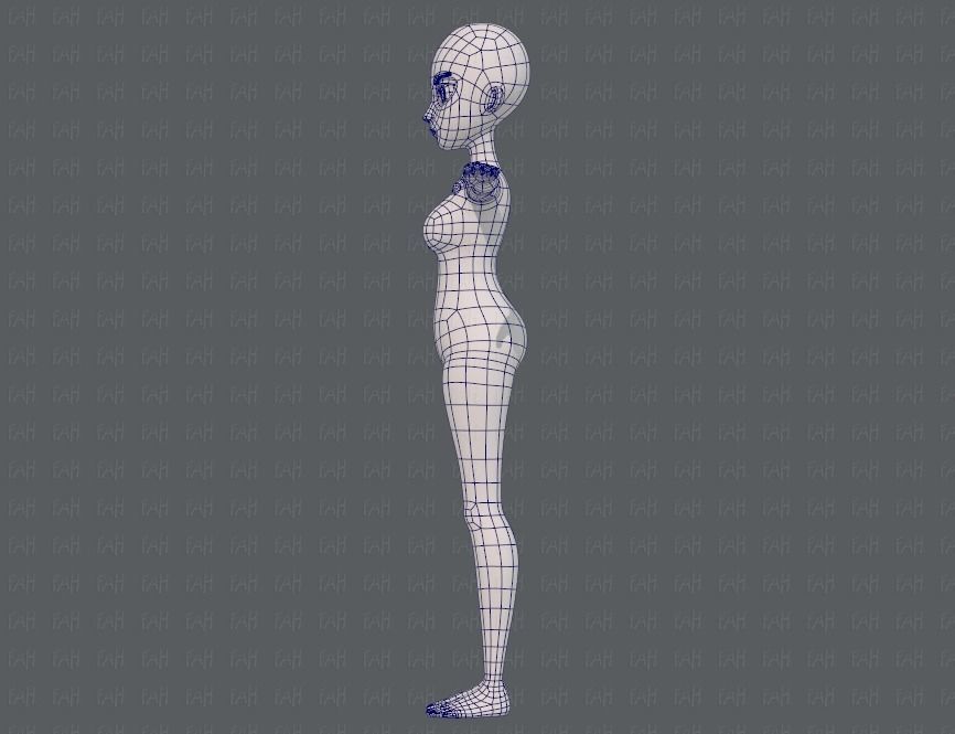 Base mesh woman 18 Low-poly 3D model_15