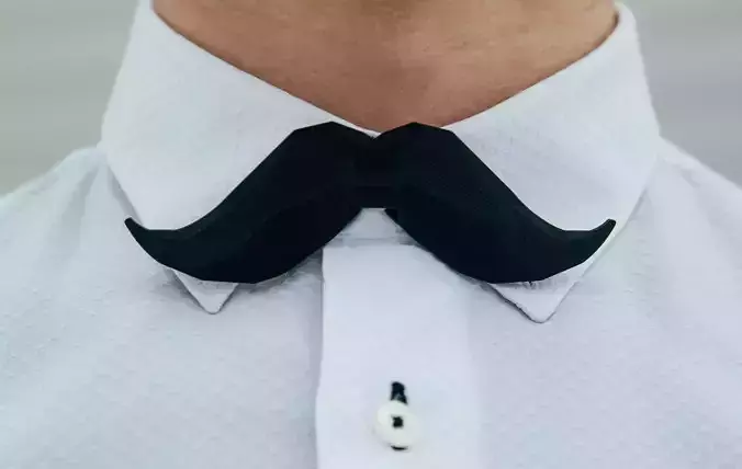 Moustache Bow tie 3D print model