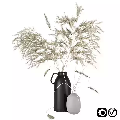 Vases set by HM with pampas grass