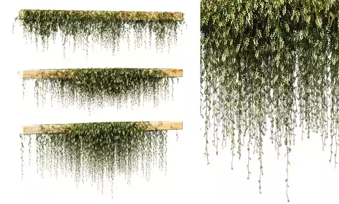 Leaves on the vine for beams or ceilings v3 3D model