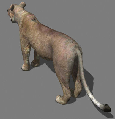 AWESOME Low-poly lioness Low-poly 3D model_6