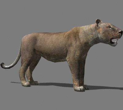 AWESOME Low-poly lioness Low-poly 3D model_8