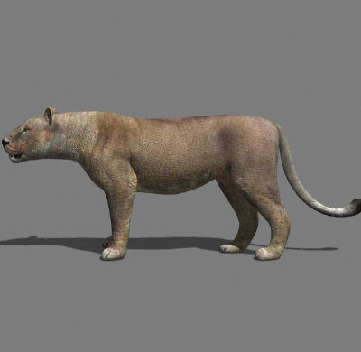 AWESOME Low-poly lioness Low-poly 3D model_9