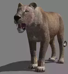 AWESOME Low-poly lioness Low-poly 3D model