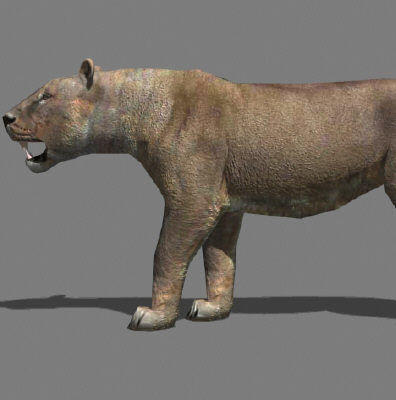 AWESOME Low-poly lioness Low-poly 3D model_10