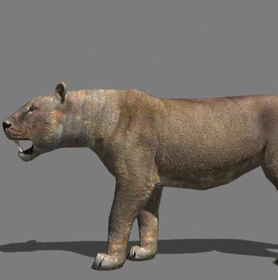 AWESOME Low-poly lioness Low-poly 3D model_19