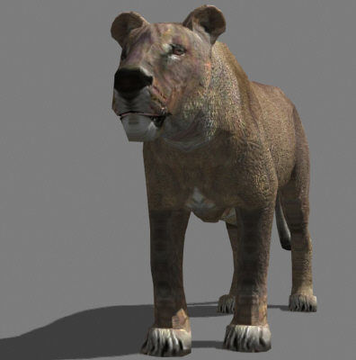 AWESOME Low-poly lioness Low-poly 3D model_17