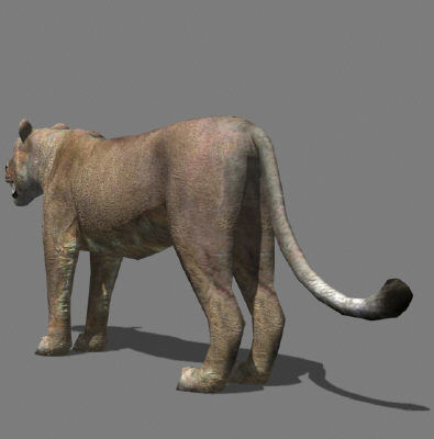 AWESOME Low-poly lioness Low-poly 3D model_5