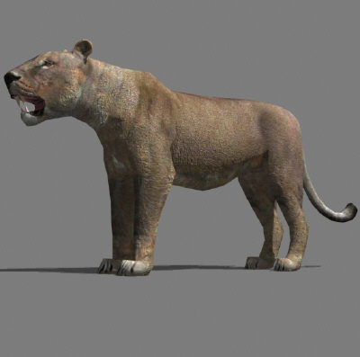 AWESOME Low-poly lioness Low-poly 3D model_7