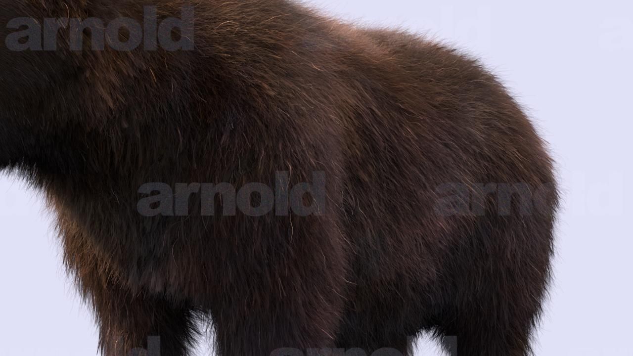 Bear-Maya bear 3D model_7