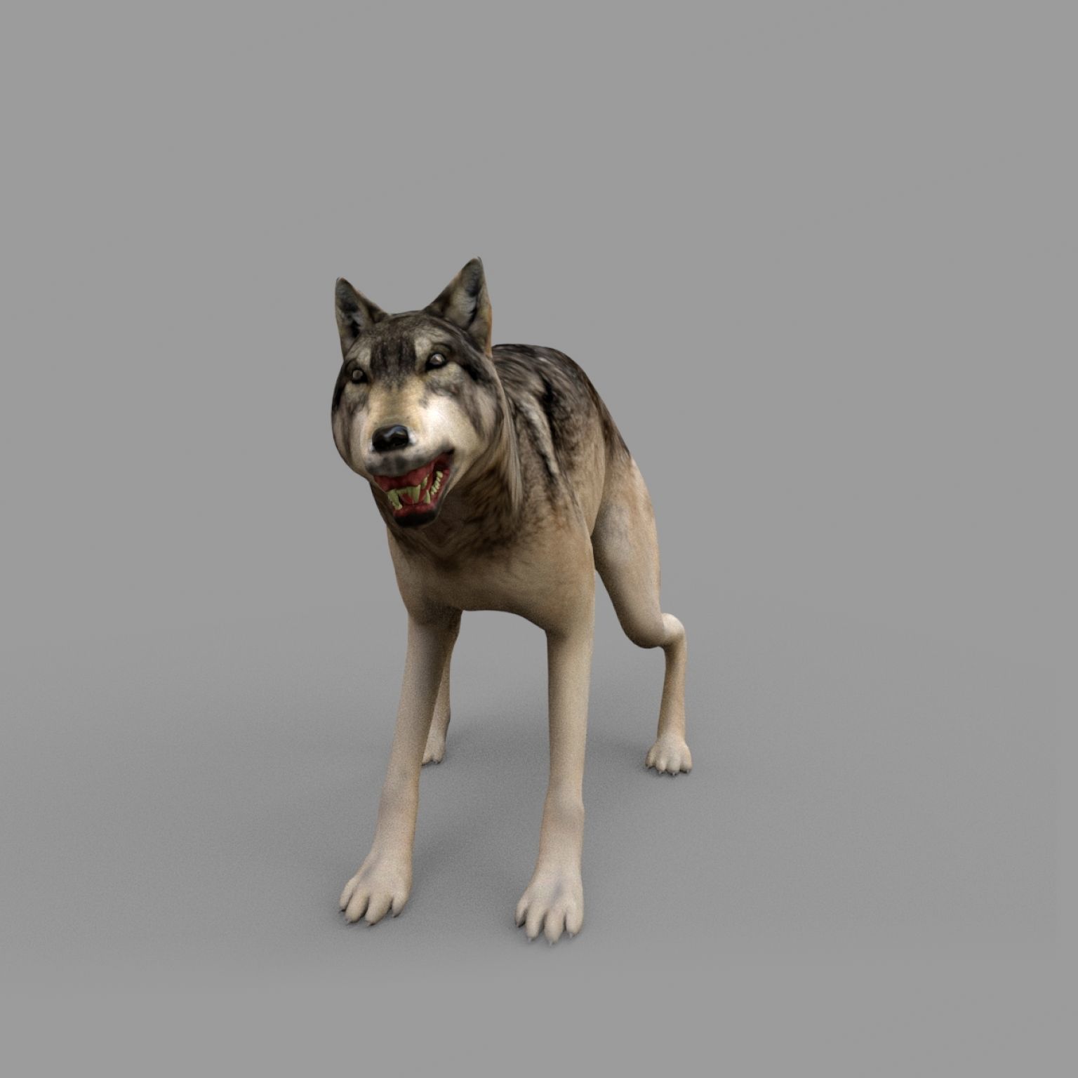 wolf rig Low-poly 3D model_6