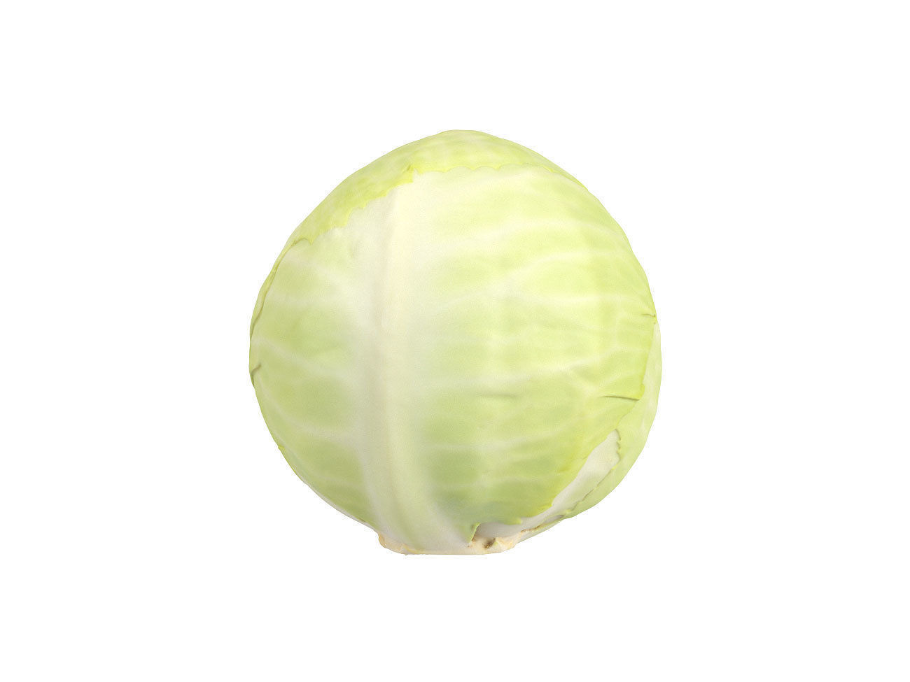 Photorealistic Cabbage 3D Scan 3D model_3