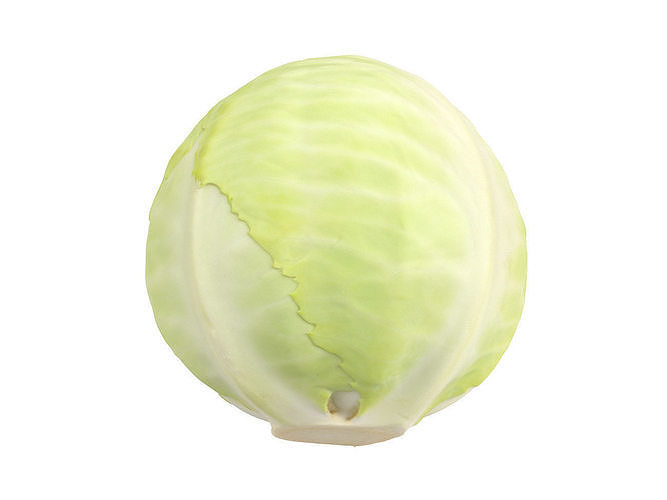 Photorealistic Cabbage 3D Scan 3D model