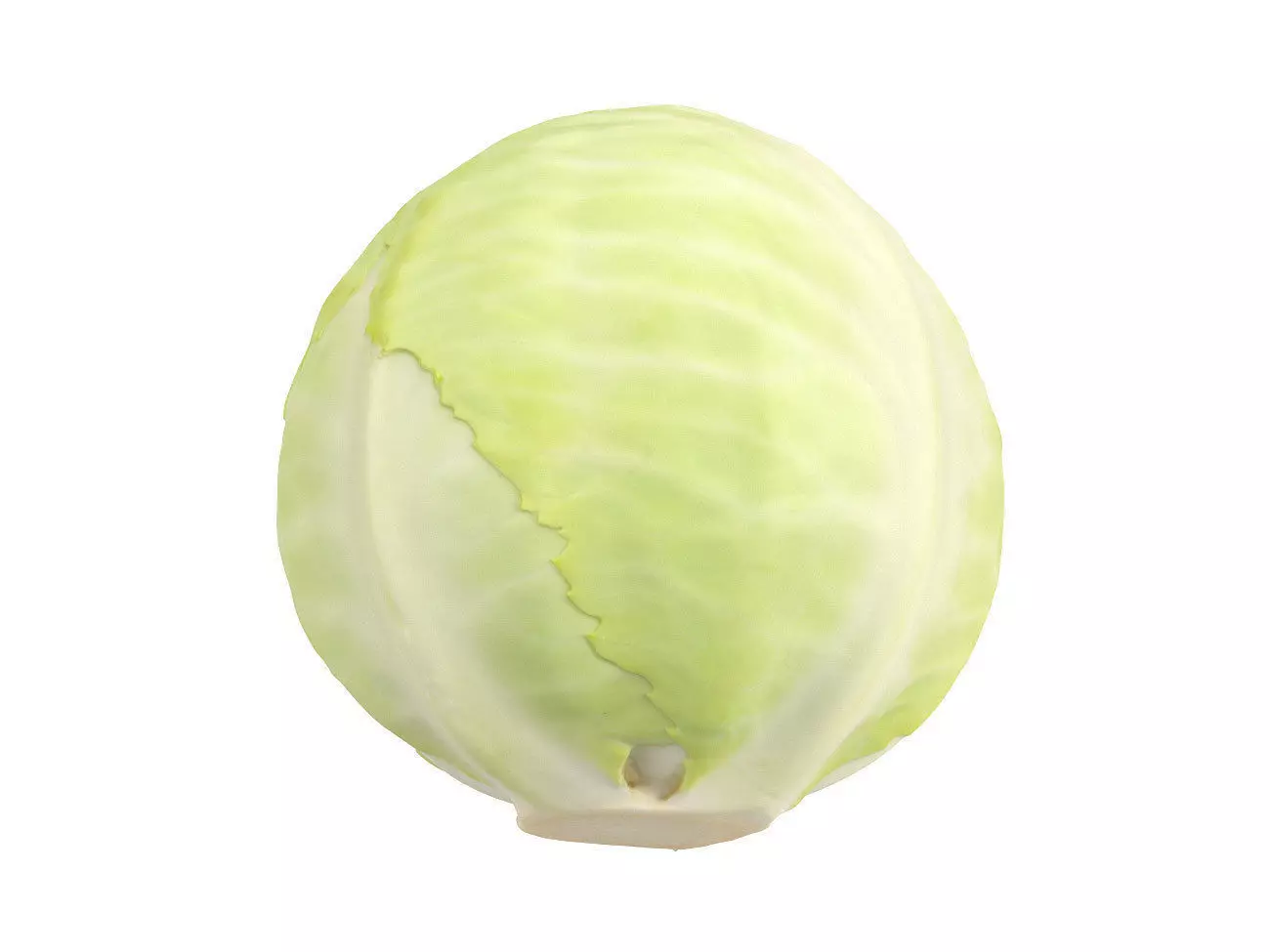 Photorealistic Cabbage 3D Scan 3D model_0