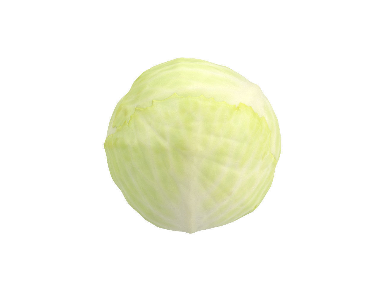 Photorealistic Cabbage 3D Scan 3D model_4