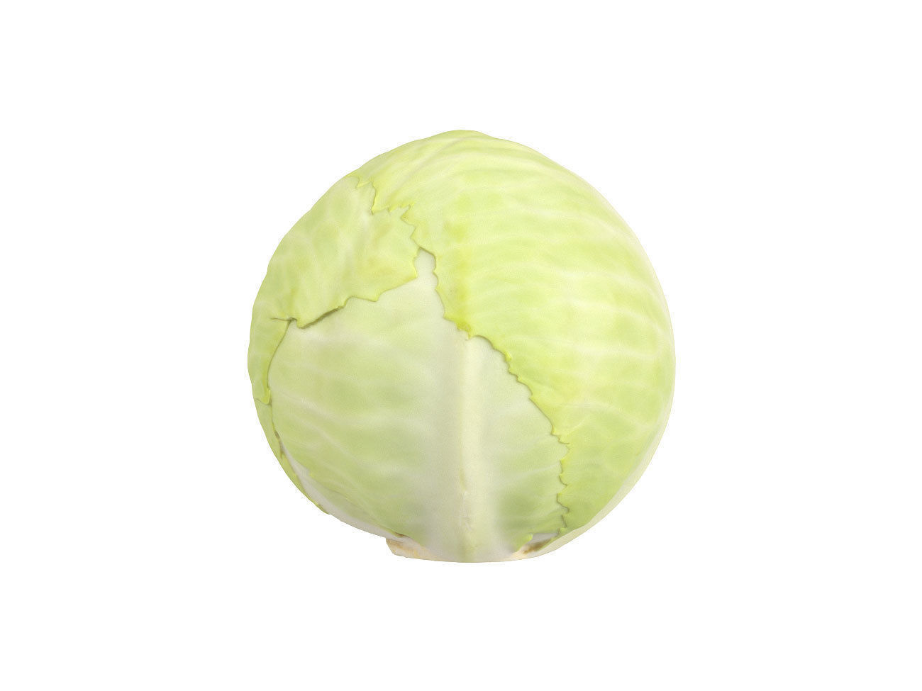 Photorealistic Cabbage 3D Scan 3D model_1