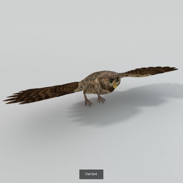 30 Forest Animals Super Pack 3D Model Collection_6