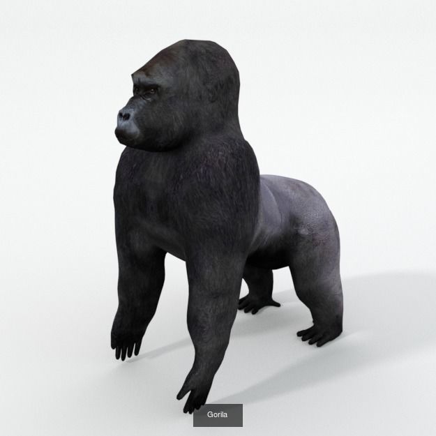 30 Forest Animals Super Pack 3D Model Collection_20