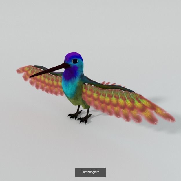 30 Forest Animals Super Pack 3D Model Collection_4