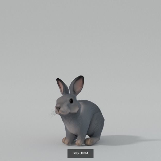 30 Forest Animals Super Pack 3D Model Collection_1