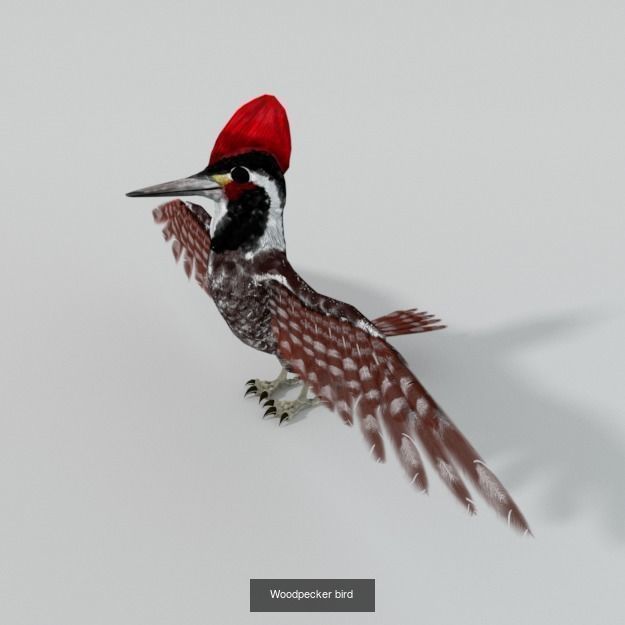 30 Forest Animals Super Pack 3D Model Collection_5