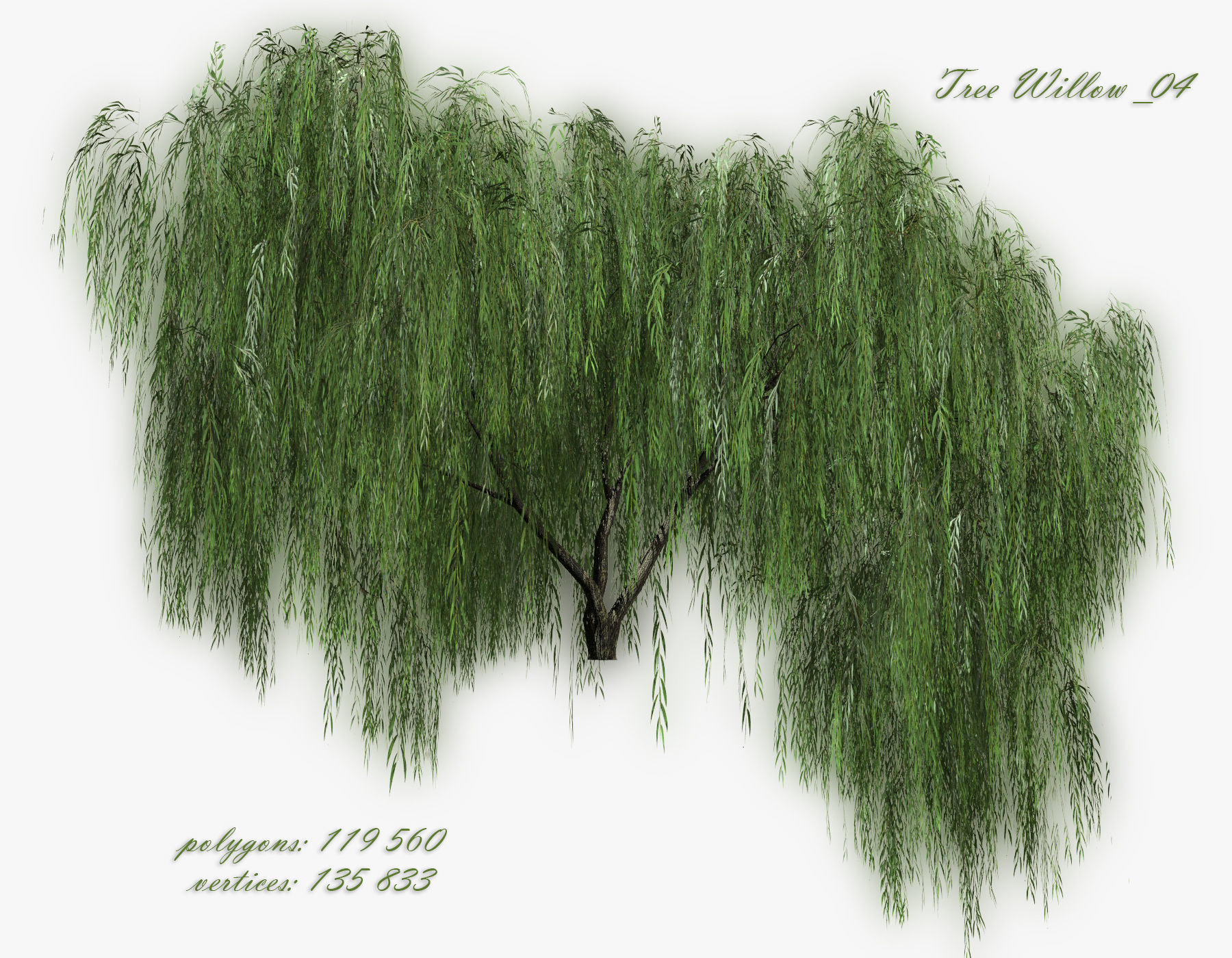   Set Tree Willow  3D model_7