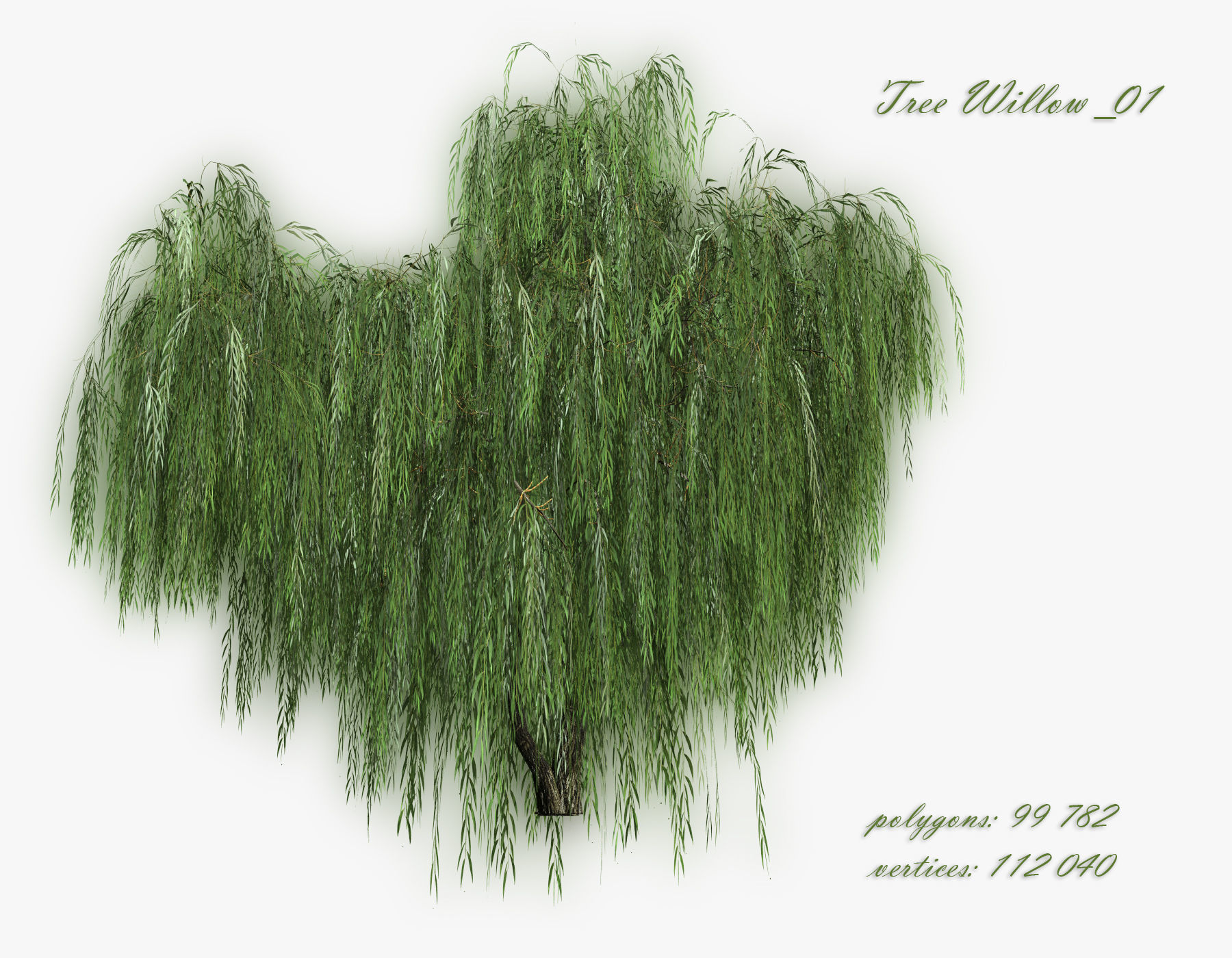   Set Tree Willow  3D model_2