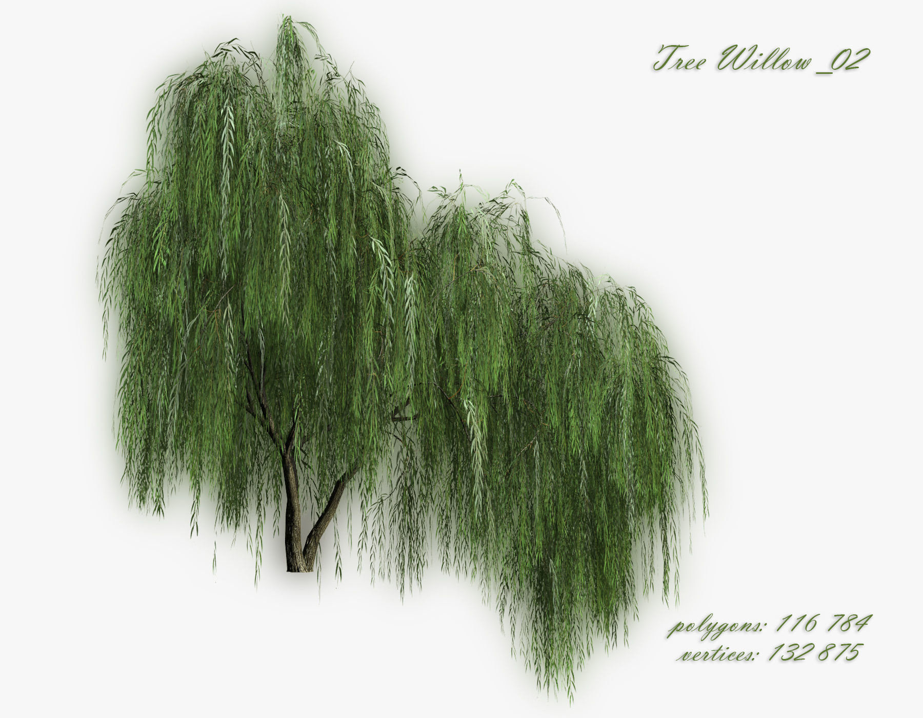   Set Tree Willow  3D model_4