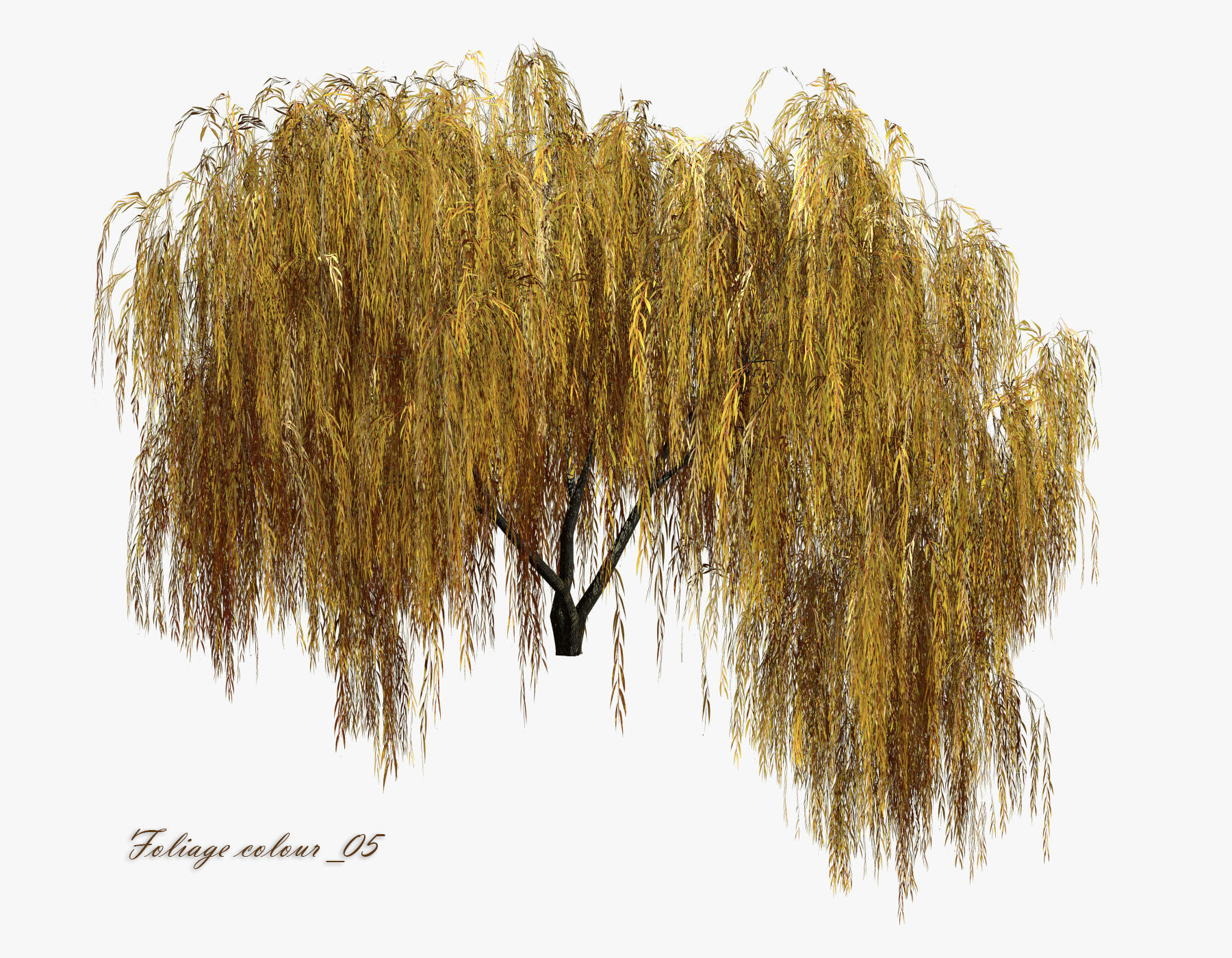   Set Tree Willow  3D model_11