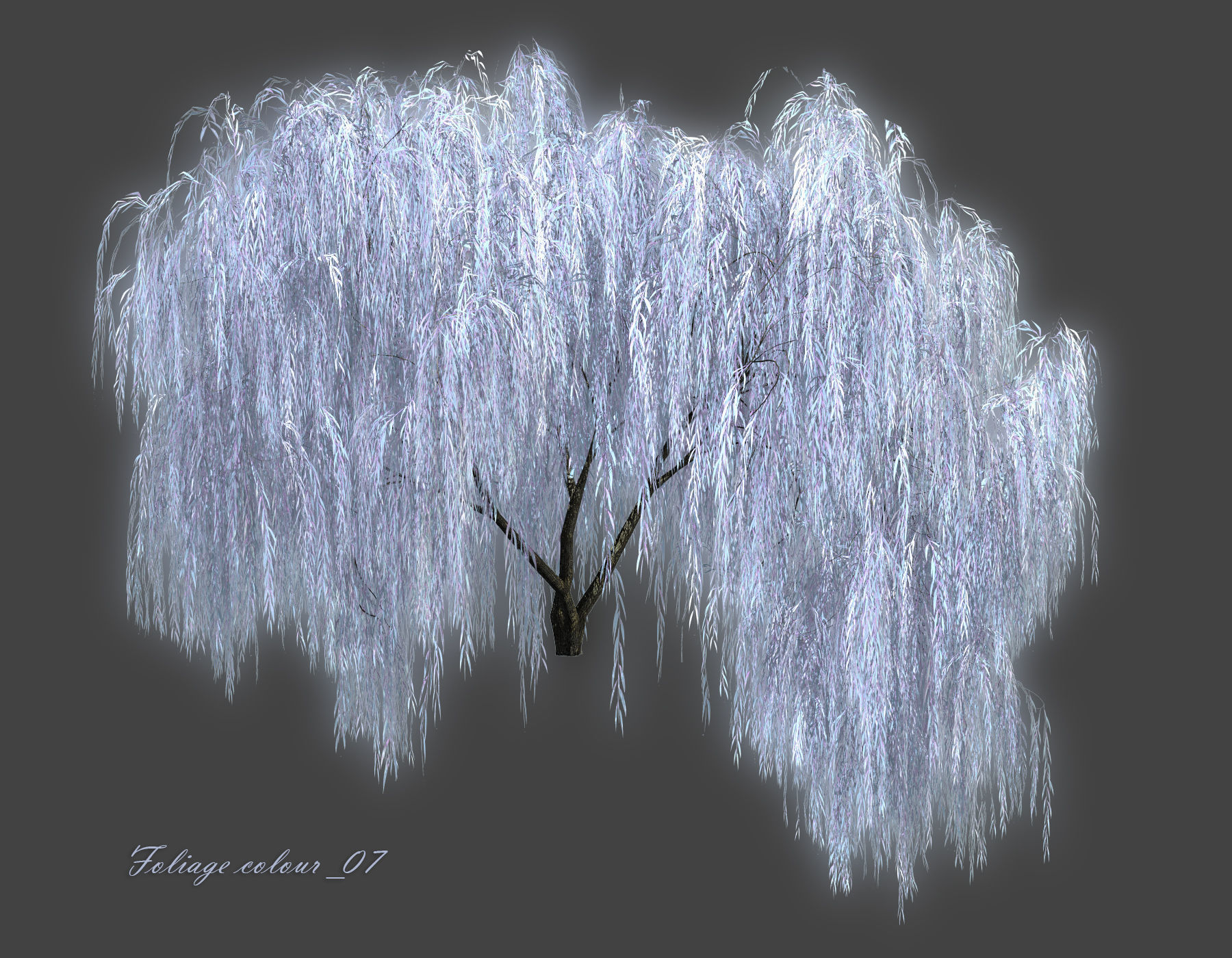   Set Tree Willow  3D model_13