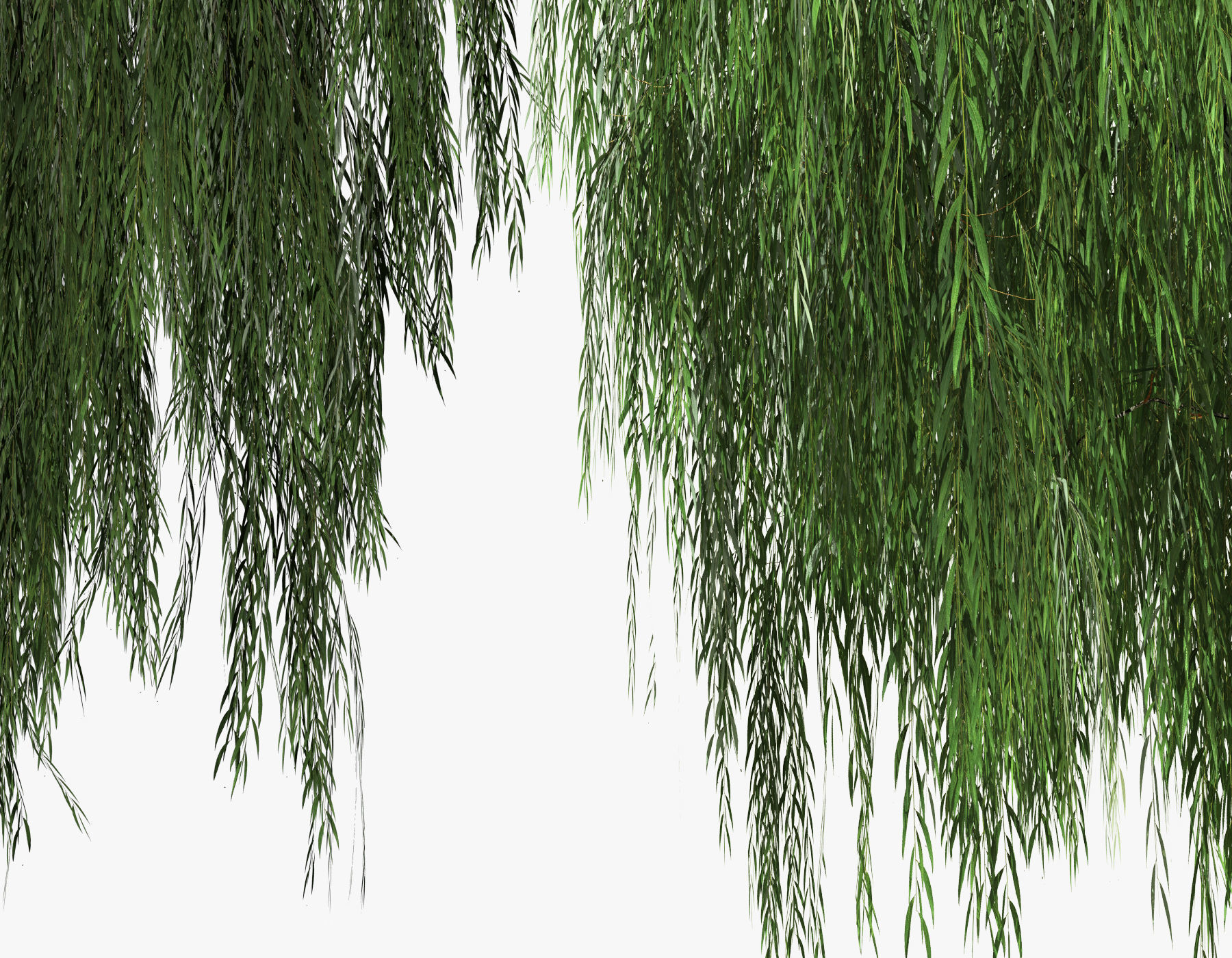   Set Tree Willow  3D model_14