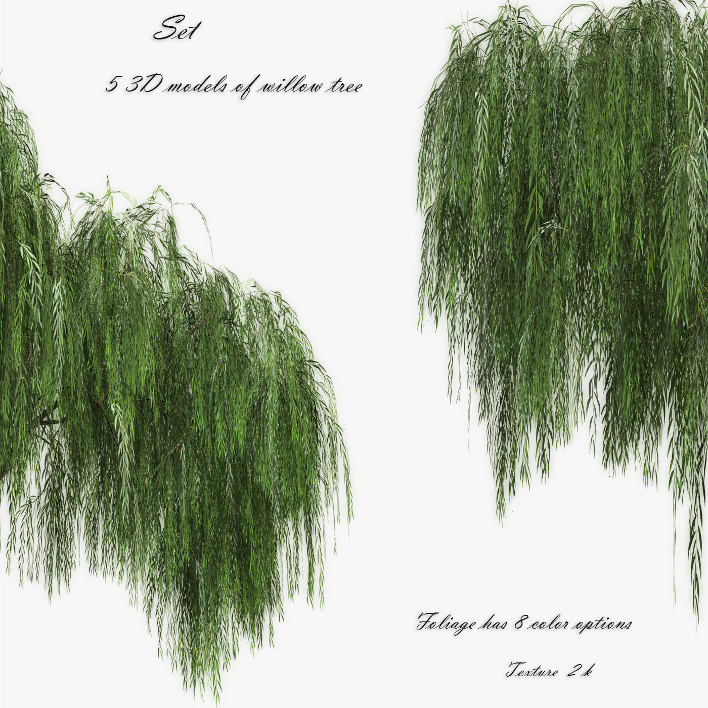   Set Tree Willow  3D model_0